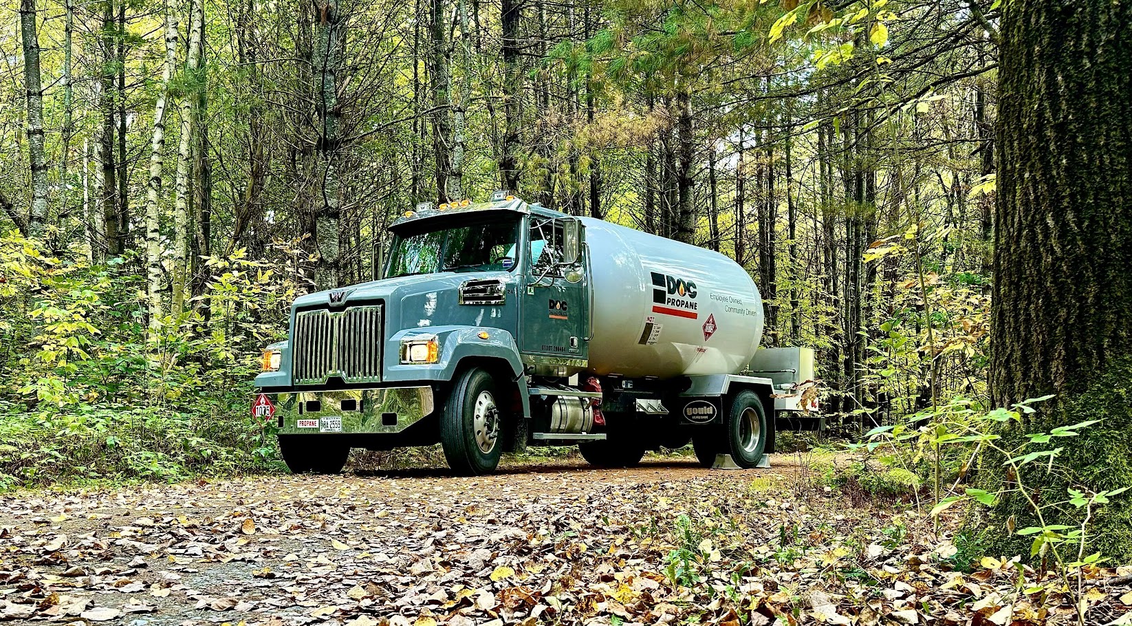 daigle fuel truck on a very wooded back road
